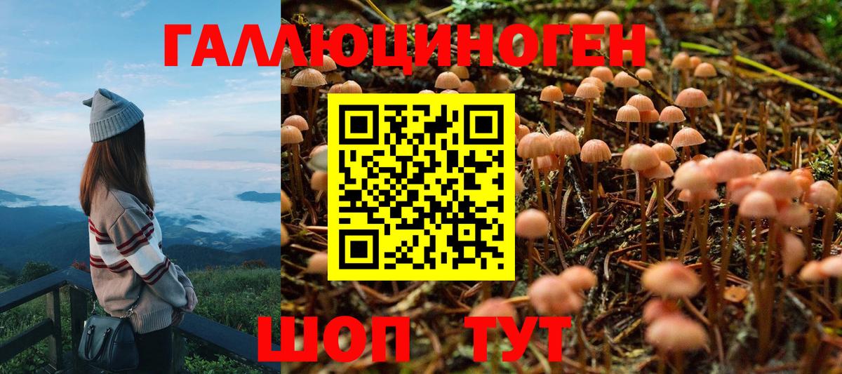 Галлюциногенные грибы Magic Shrooms  Вход с VPN  Всеволожск 
